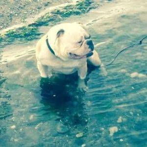 Meet your Posher, Caela